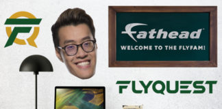 FlyQuest Fathead