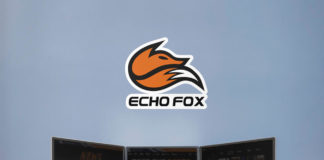 Echo Fox Fathead