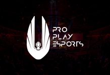 Pro Play Esports