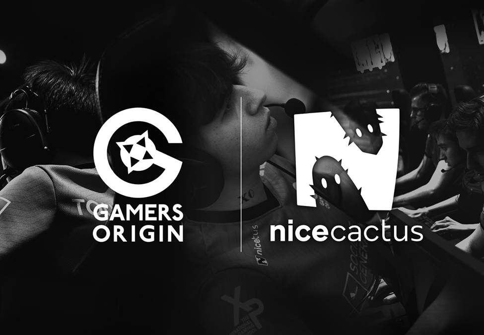 GamersOrigin grow Nicecactus partnership