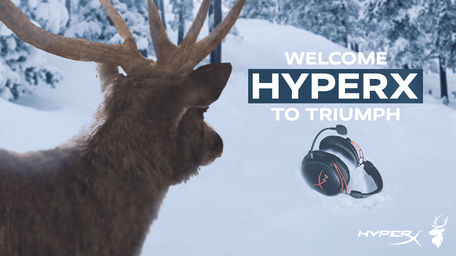 Triumph Esports x HyperX