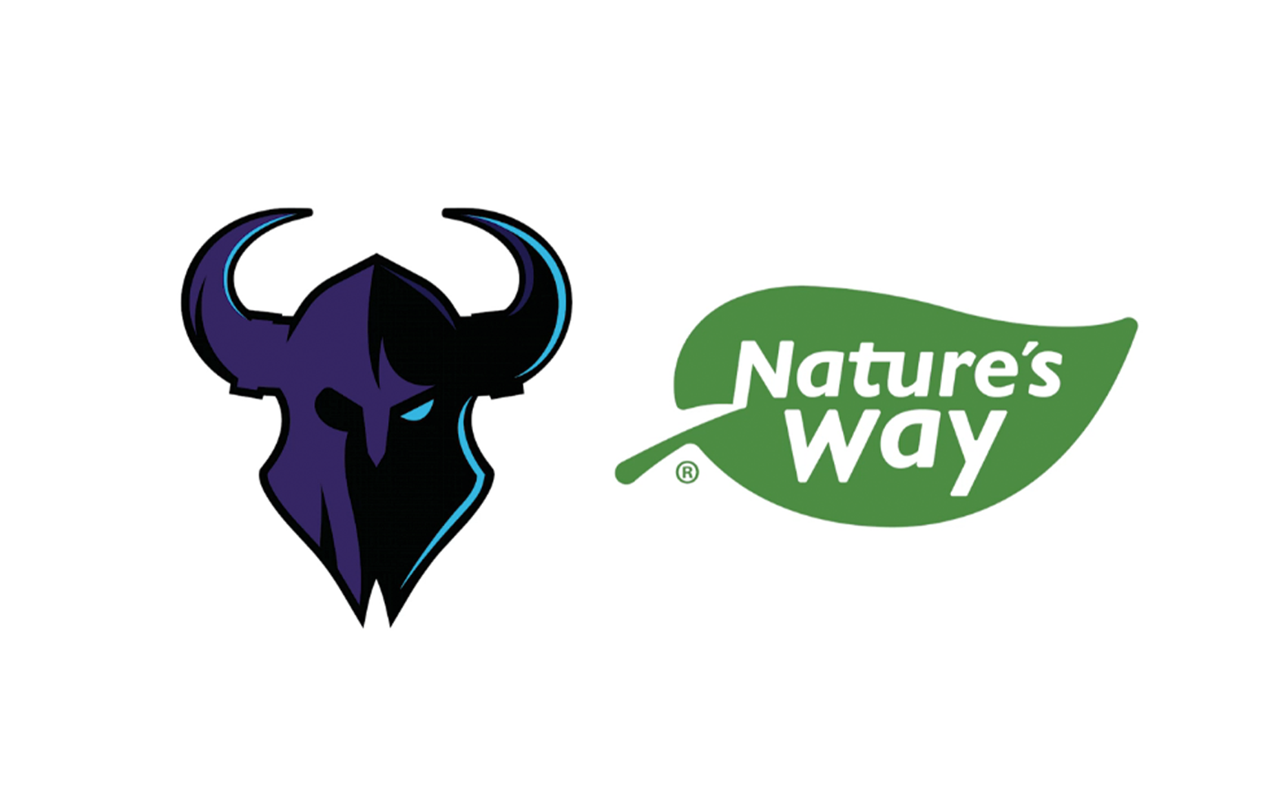 Minnesota Rokkr announces Natureu2019s Way partnership