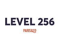 Level 256