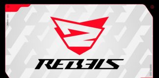 David-de-Gea-x-Rebels-Gaming