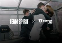 Team Spirit Secretlab