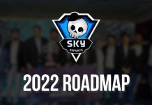 skyesports-roadmap