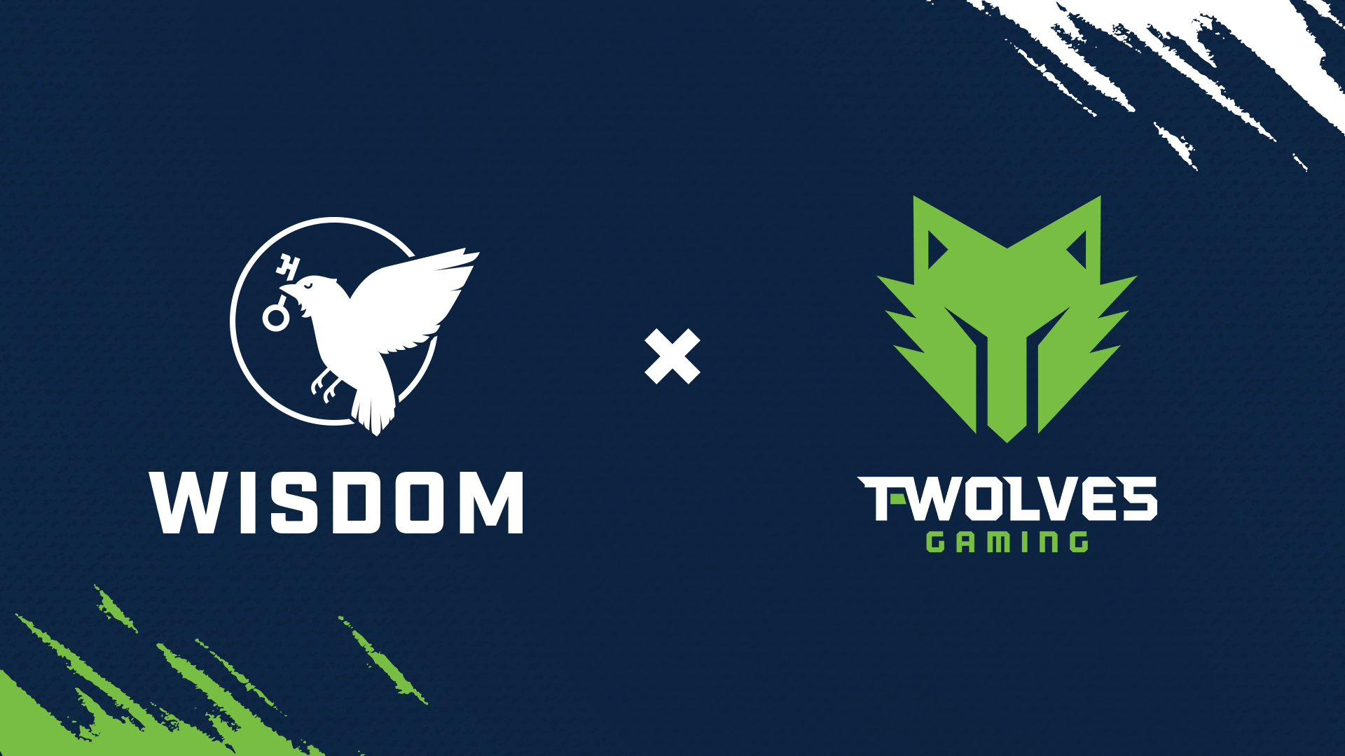 Wisdom Gaming Studios partners with TWolves Gaming