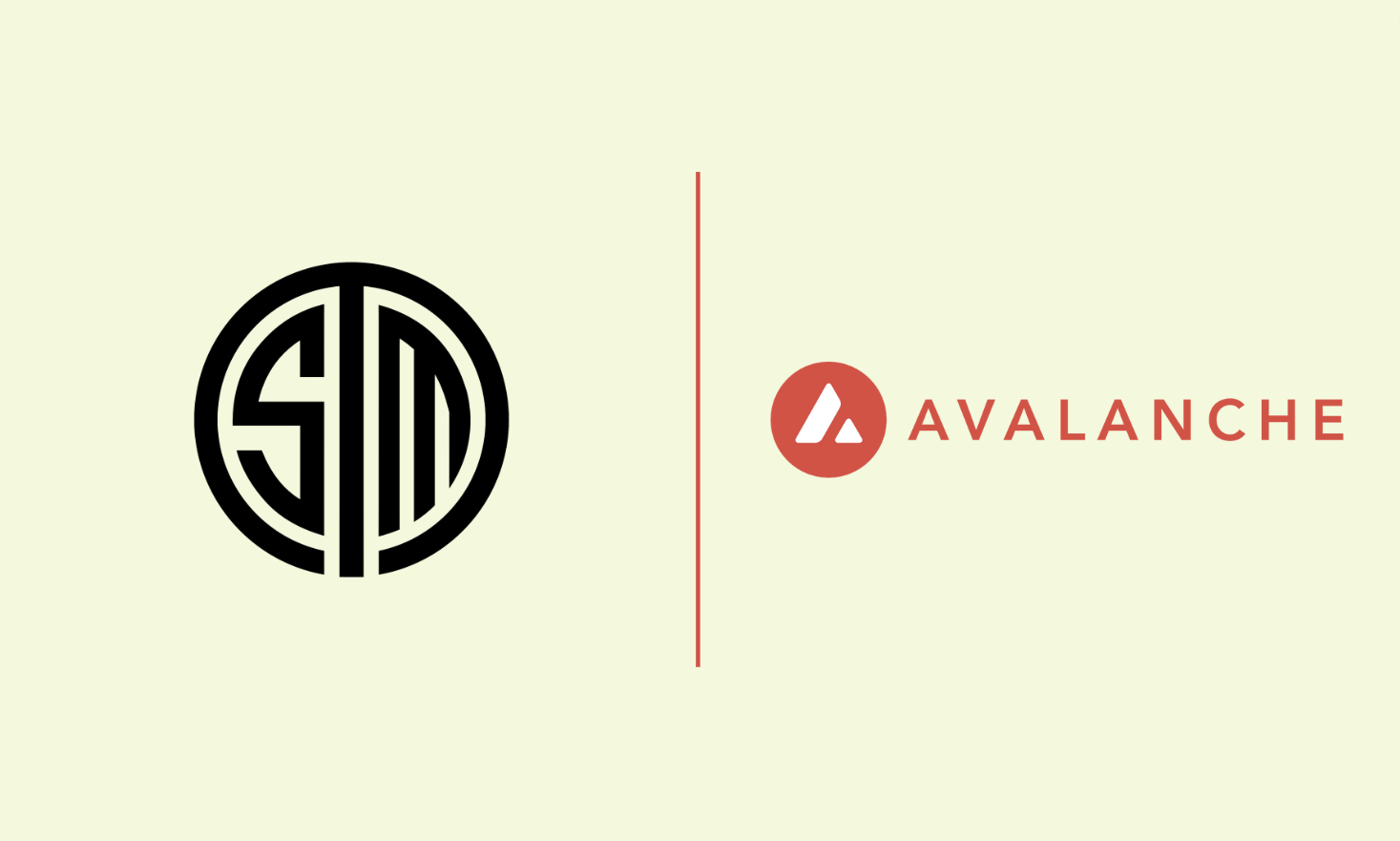 TSM partners with blockchain company Avalanche